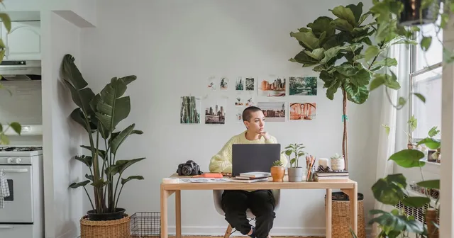 A person working at a laptop in a bright room with plants.
